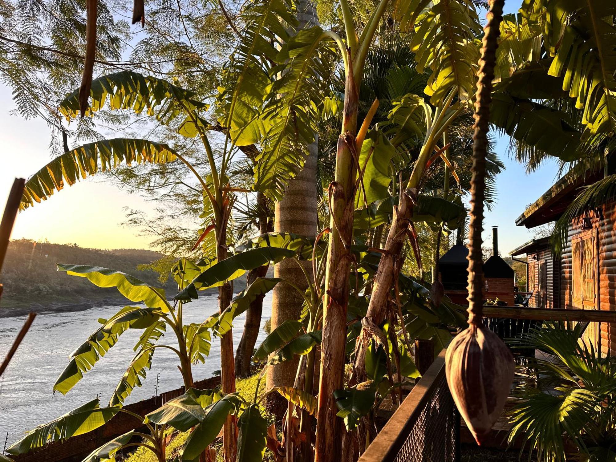 מלון פוארטו איגואסו Costa Del Sol Iguazu מראה חיצוני תמונה