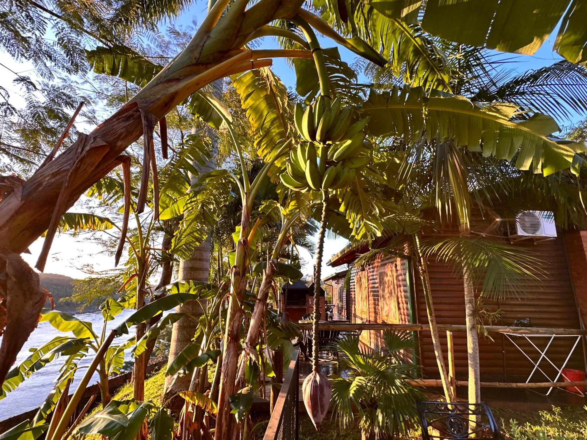 מלון פוארטו איגואסו Costa Del Sol Iguazu מראה חיצוני תמונה