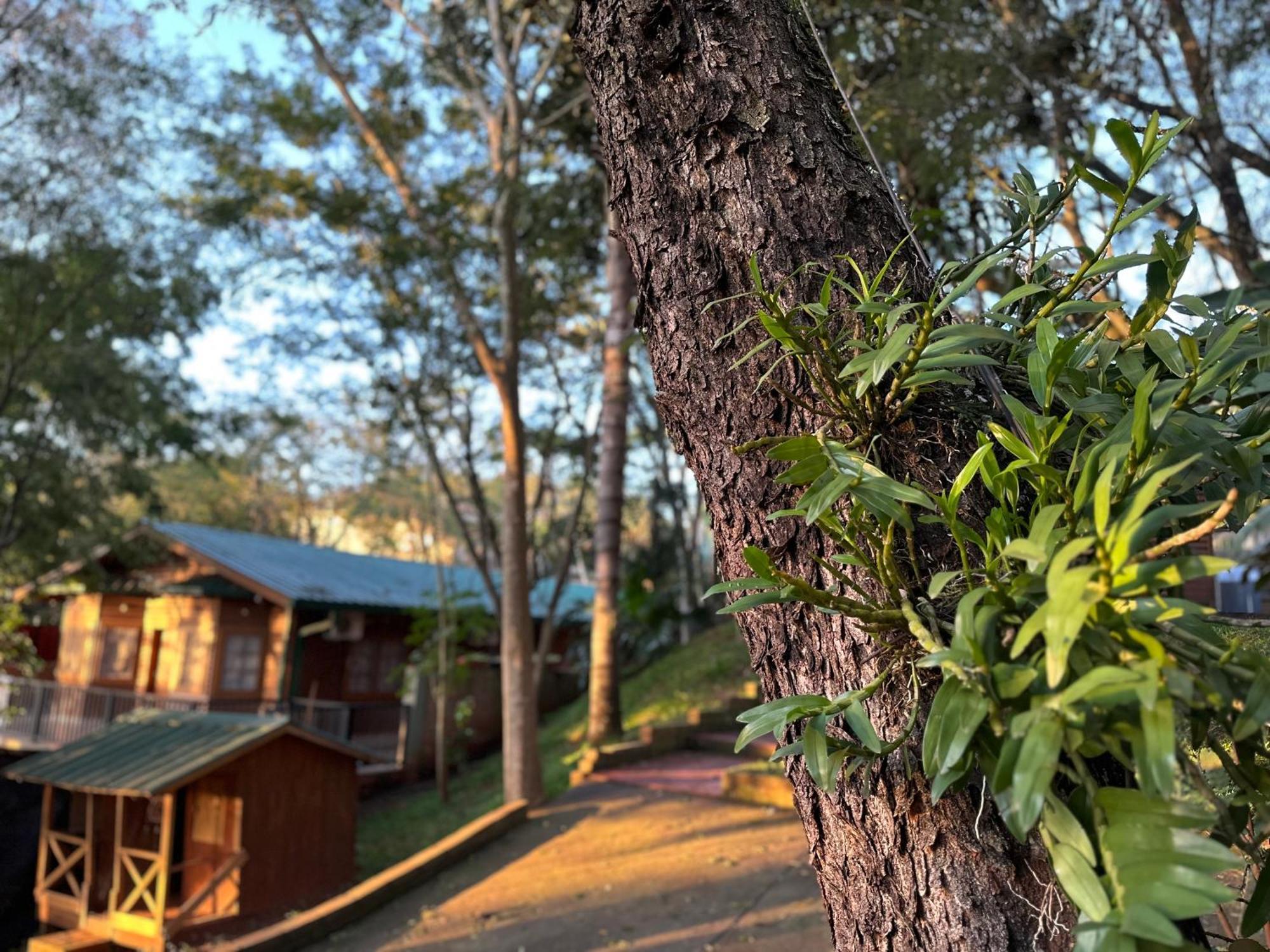 מלון פוארטו איגואסו Costa Del Sol Iguazu מראה חיצוני תמונה