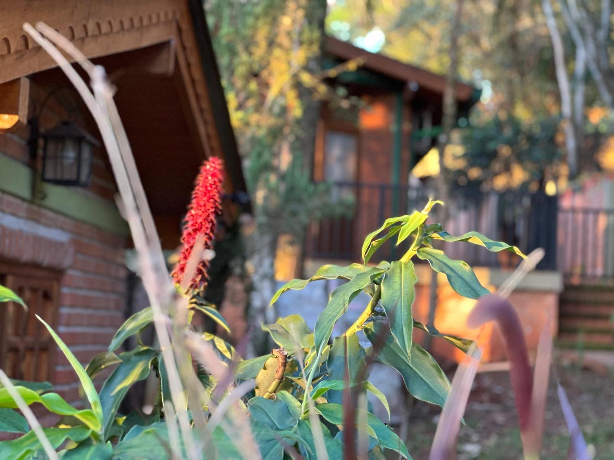 מלון פוארטו איגואסו Costa Del Sol Iguazu מראה חיצוני תמונה